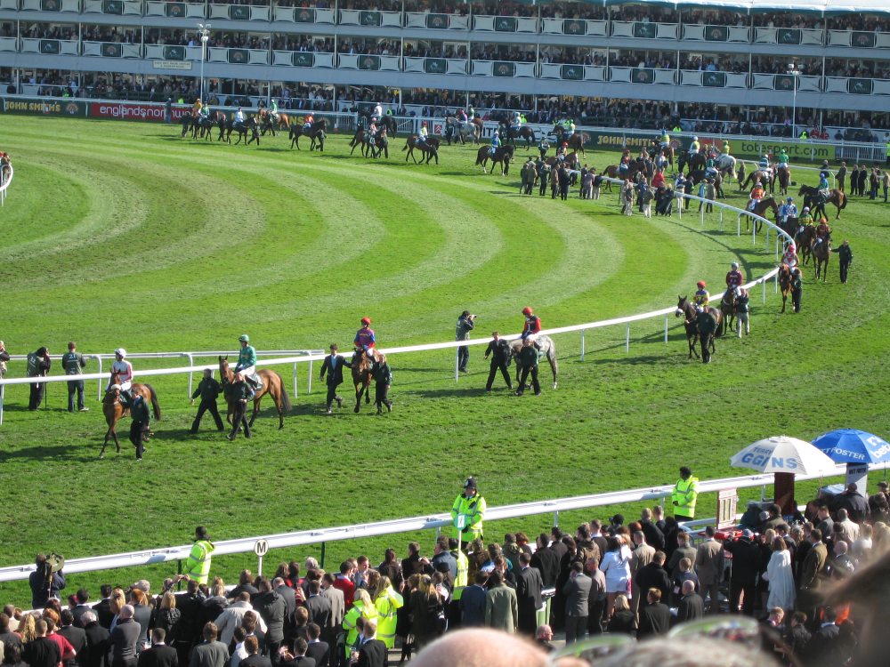 Grand National Runners and riders, Grand National 2015