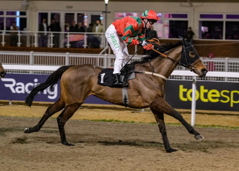 Chelmsford City Racecourse, Chelmsford City Races