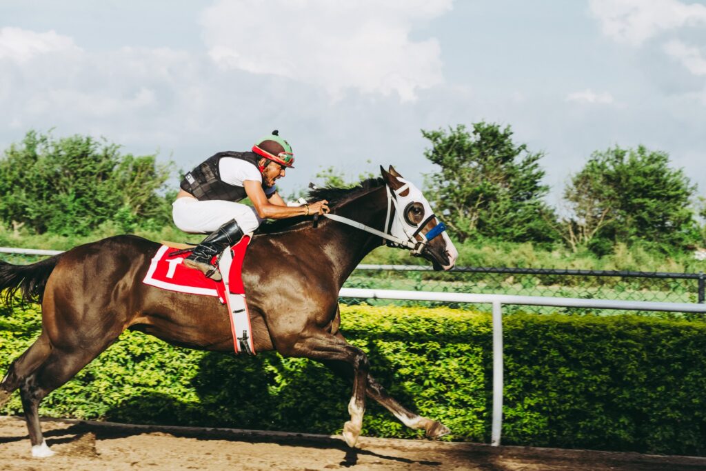 Essential Tips for Horse Betting